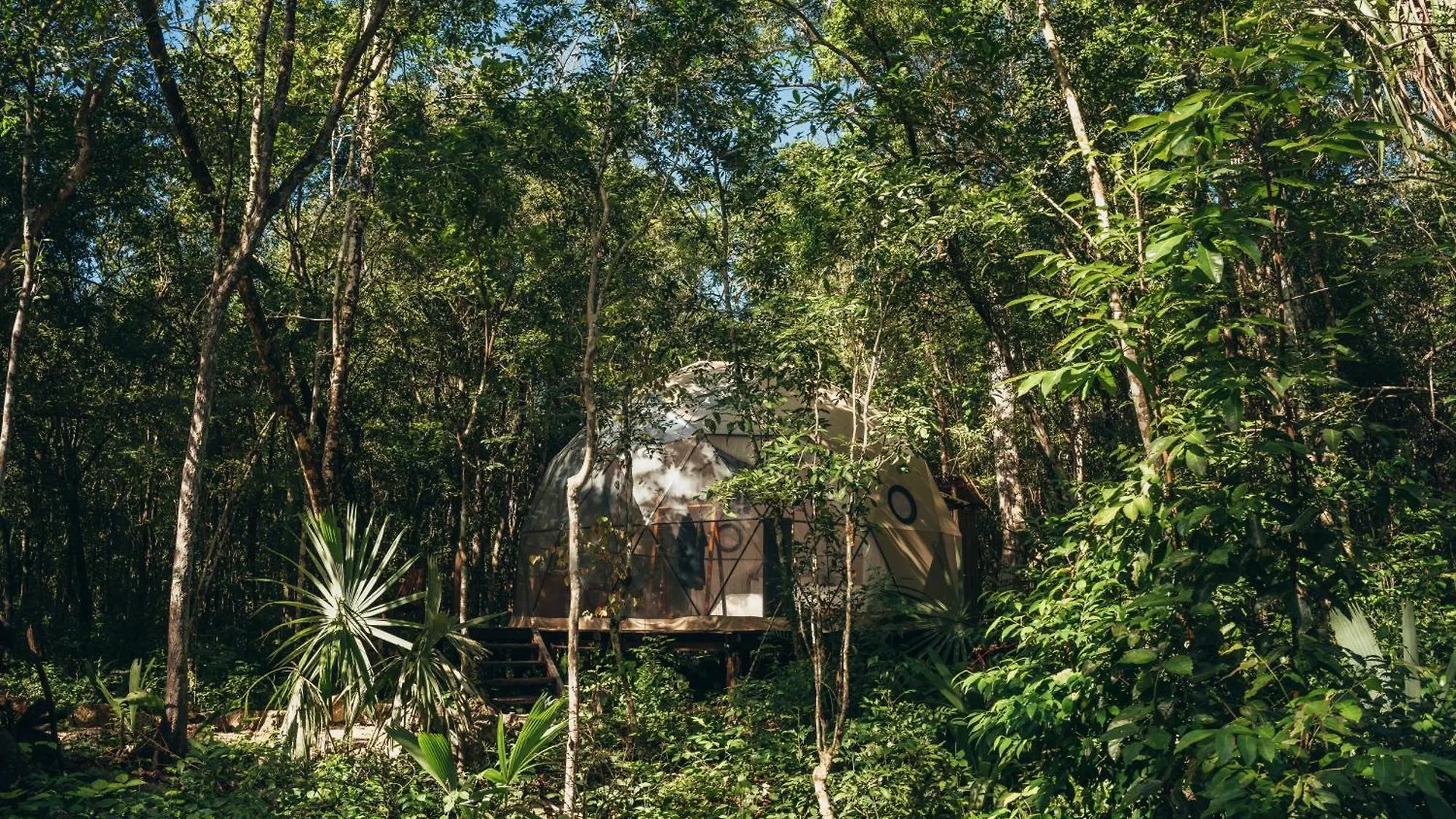 Hotel Amaite Retreat Tulum Macario Gomez México